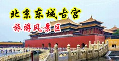 骚女人日屄视频在线观看中国北京-东城古宫旅游风景区